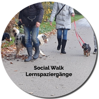Social Walk - Lernspaziergänge Hundeschule Hunde 1x1