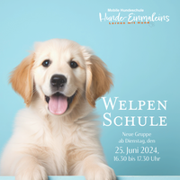 Welpenschule - ab Juni neuer Kurs - Hundeschule Walldürn