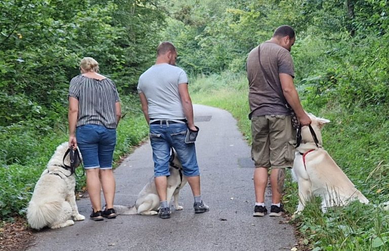 Social Walk - Lernspaziergänge Christiana Gramlich Hundetrainerin Zwei Personen gehen mit ihren Hunden auf einem Waldweg.