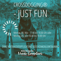 Crossdogging - Just Fun