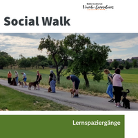 Social Walk - Lernspaziergänge Hundeschule Hunde 1x1
