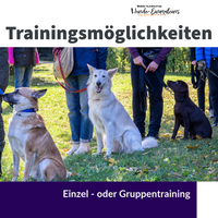 Einzel- und Gruppentraining mit Preisen Christiana Gramlich Hundetrainerin Walldürn, Buchen und Umgebung