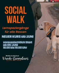 Social Walk - Lernspaziergänge