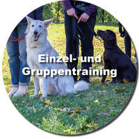 Einzel- und Gruppentraining Hundetrainerin Christiana Gramlich