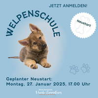 Neuer Welpenkurs ab Januar 2025 geplant