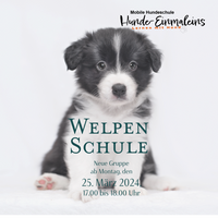 Welpenschule - ab März neuer Kurs - Hundeschule Walldürn