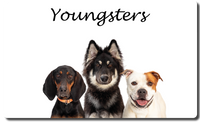 Youngsters - Hunde ab 16/18 Wochen Christiana Gramlich Walldürn