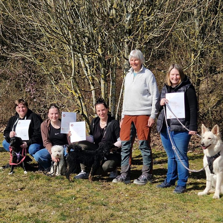 Social Walk - Lernspaziergänge Christiana Gramlich Drei Hunde werden von Personen auf einem Gehweg bei Nacht spazieren geführt.