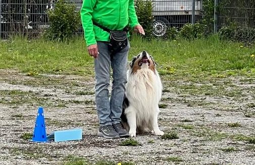 Rally Obedience - Michael Szagarus und Christiana Gramlich Hundetrainerin Ein Mensch in grüner Kleidung steht neben einem sitzenden Hund auf einem Platz mit Markierungen.
